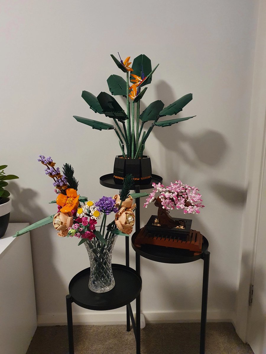 My botanical collection so far