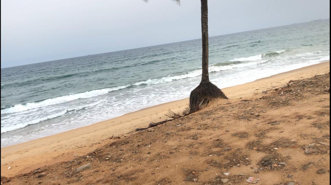 ojedd_global's tweet image. In #Togo #Climatechange is real. #Disasterrisks are at our doorstep. The sea is advancing, #coastalerosion is devastating people's homes with all their belongings. How can we save them?

#LossandDamage
#RiseupLossandDommage  
#ClimateAction
@OneEarthBeat

1/2