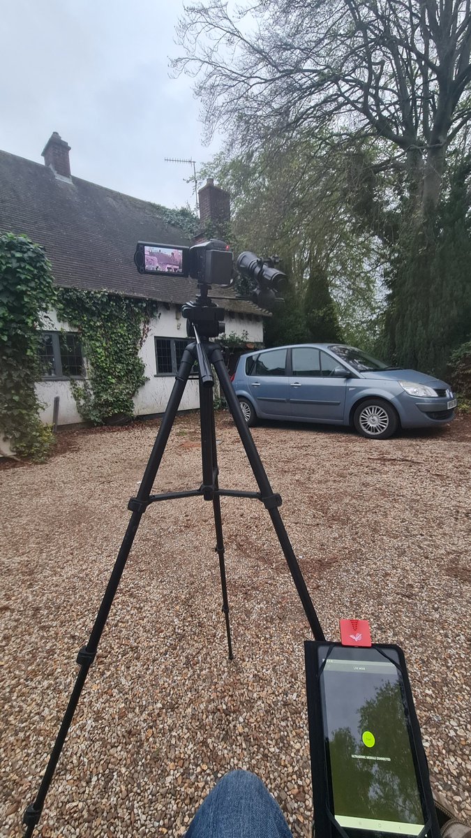 BorealTrees tweet media