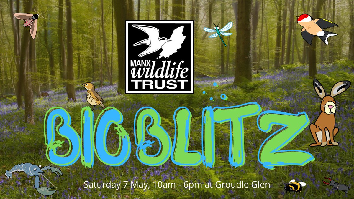 manxnature's tweet photo. We're excited about our #BioBlitz on Saturday, part of #ManxWildlifeWeek2022!

There is a great schedule of guided walks with MWT Officers alongside art activities throughout the day with Biosphere Artist in Residence, @clarepayneart! 🤩

https://t.co/9nkreTPjPh

#TeamWilder https://t.co/Y2mswo8aTX