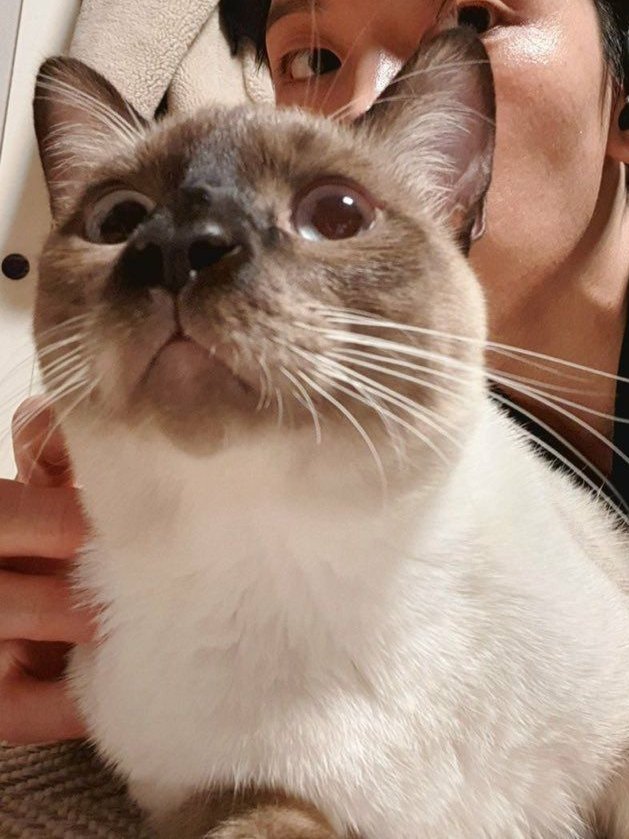 teebangcare's tweet photo. ตอนเห็นอะไรตื่นตาตื่นใจเค้าชอบทำตาเหลือกนะ555555 https://t.co/gfqKQ2lnfA