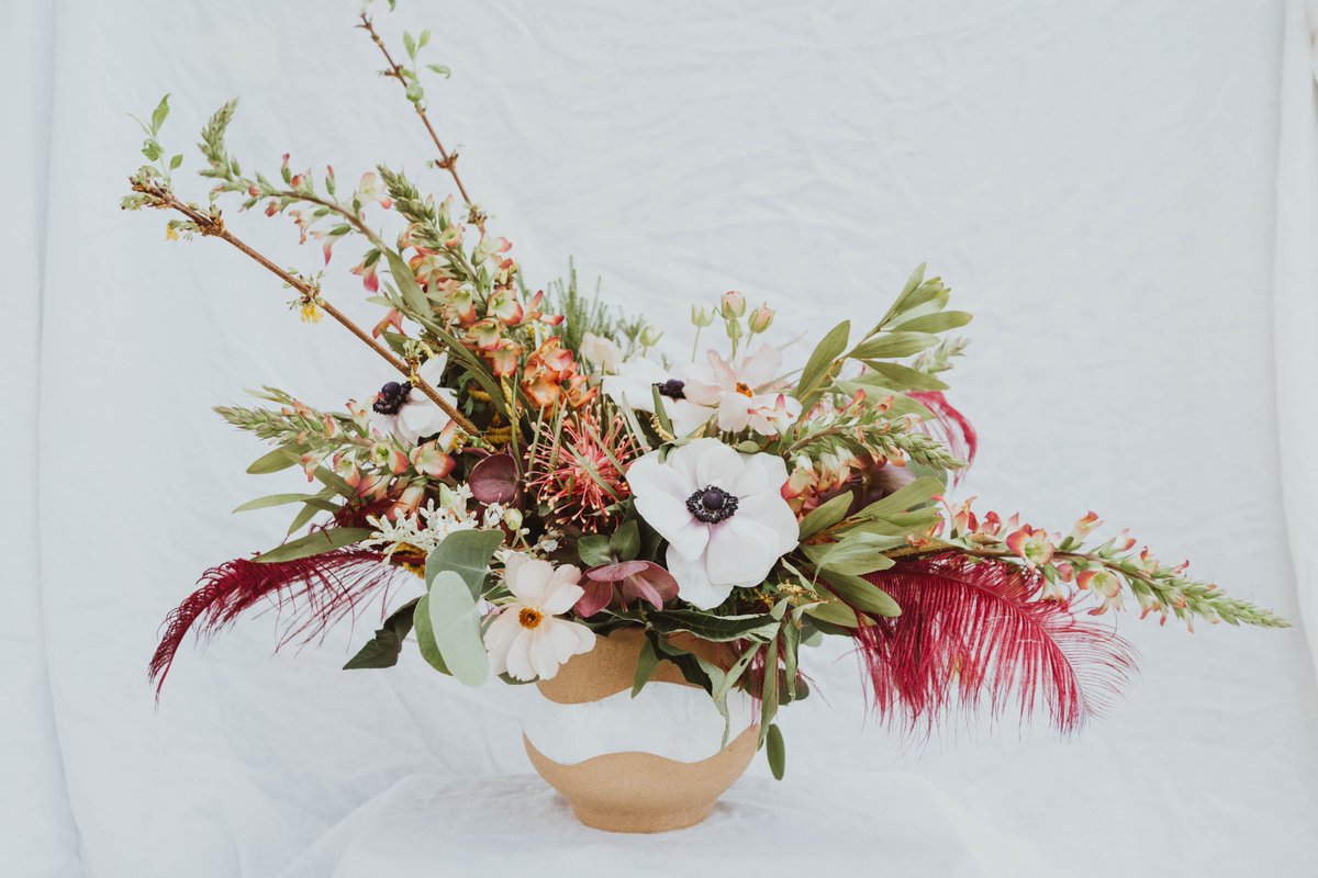 Taylor 🌿 tweet media