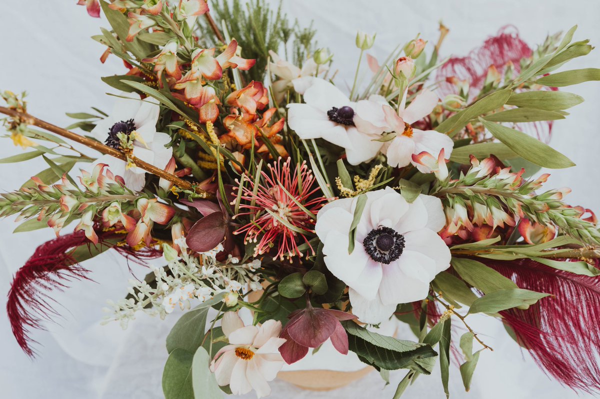 Taylor 🌿 tweet media