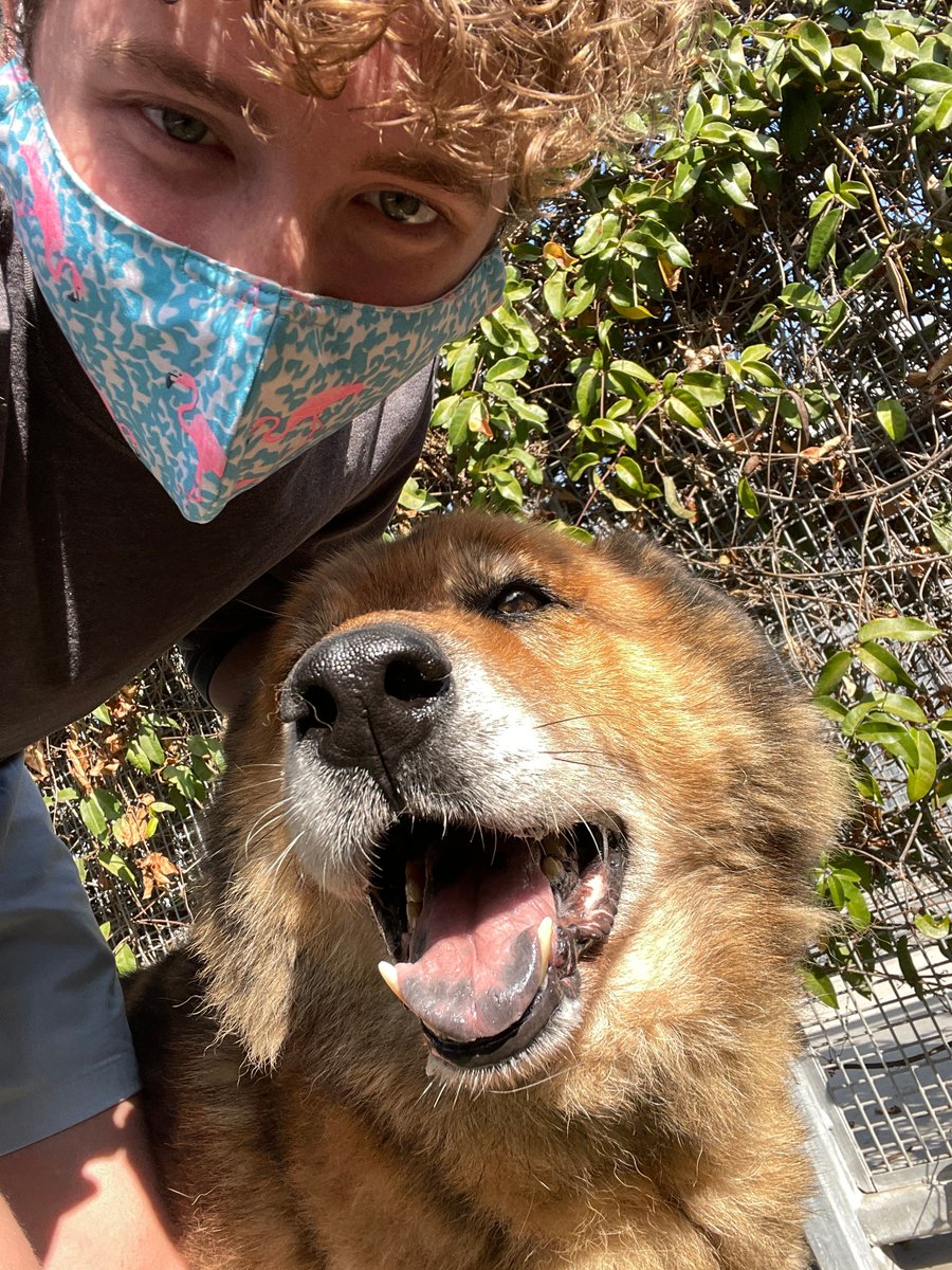 A German Shepherd dog and a white man with curly red hair look at the camera. The German Shepherd dog has his mouth open in a big, goofy smile. His tongue is pink and black speckled. 