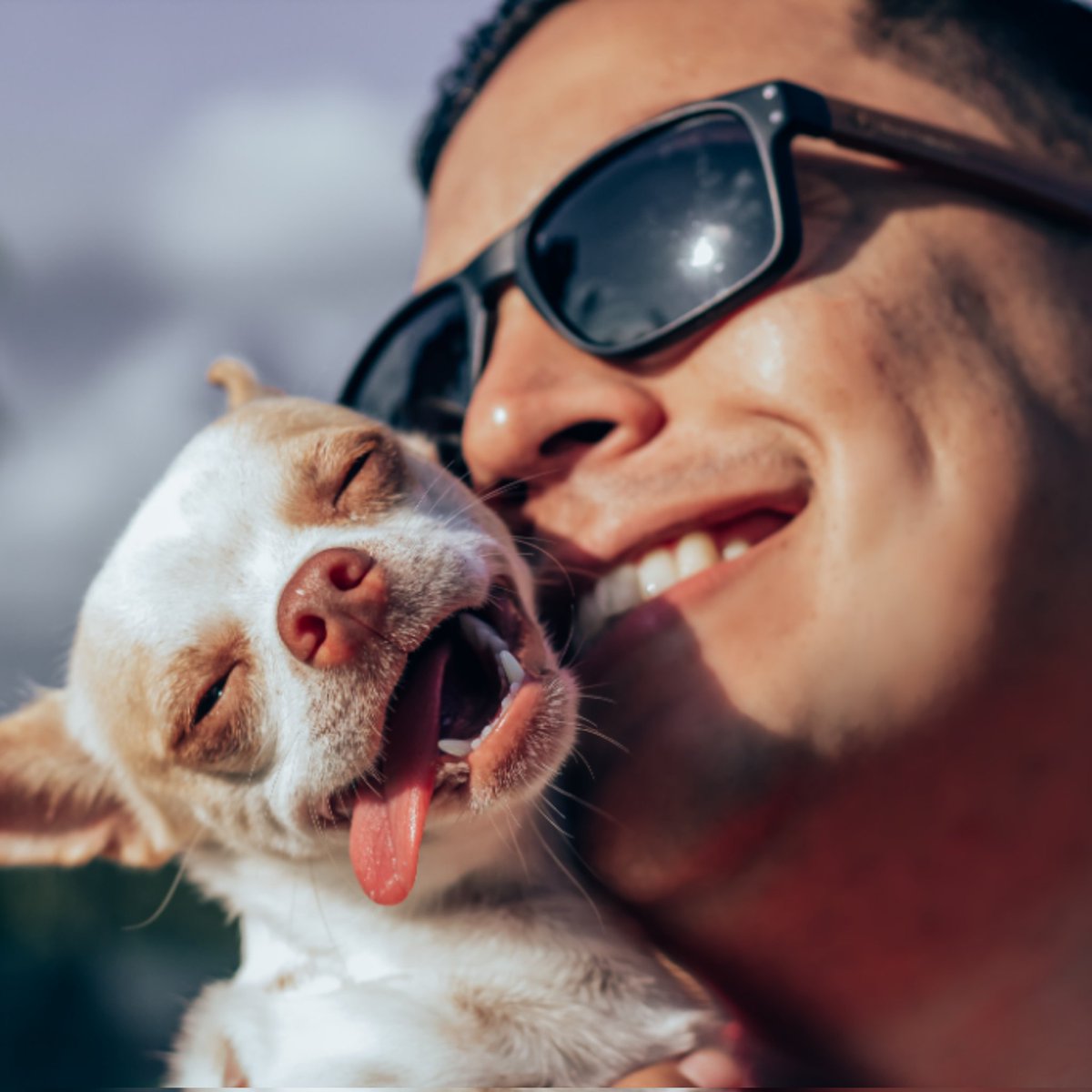 Mauricio Carpio tweet media