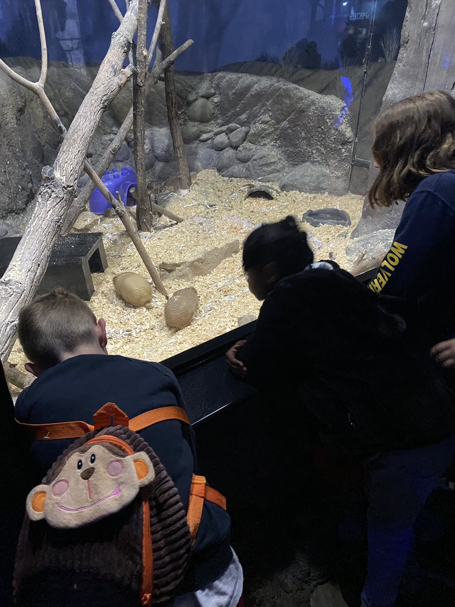 Jen Holder tweet media