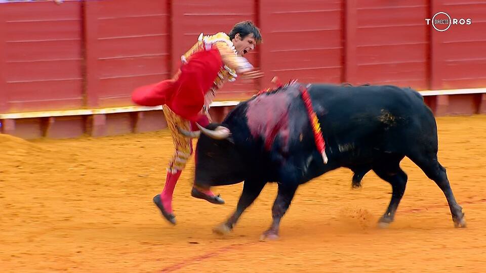 Así se abre ahora la Puerta del Príncipe sevillana...
Que vergüenza
Fotos de <a href="/javitaurino/">Fco Javier Carabias</a>