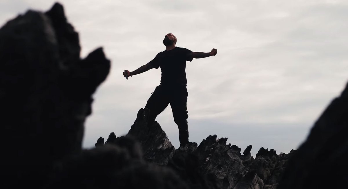 laestadea tweet media