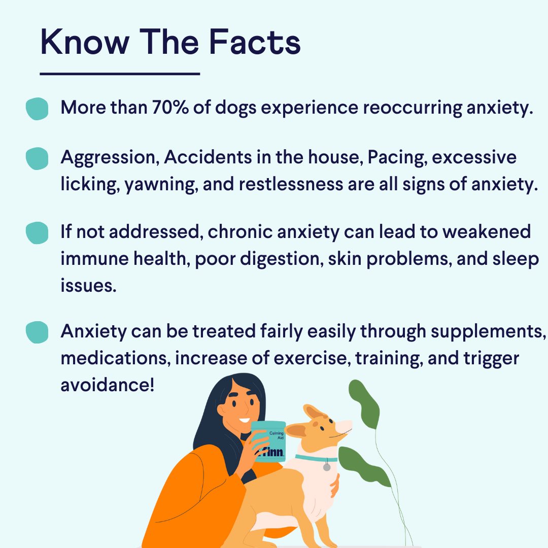 It’s Dog Anxiety Awareness Week! 🐕 If you’ve ever felt stressed or anxious, you know just how debilitating it can be. So don’t let your pup go untreated if they’re showing signs of anxiety. 🐾 #DogAnxietyAwareness #PetFinn #dogsoftwitter #anxiety