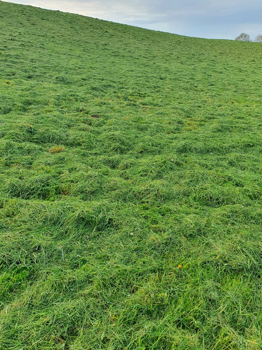 visatorro's tweet image. Cooking nicely