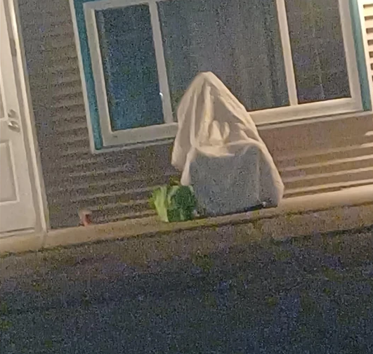 azfamily's tweet photo. Intoxicated man causing disturbances attempts to hide from police...under a blanket https://t.co/ZsE3UDAegy https://t.co/qn1vuuINSJ