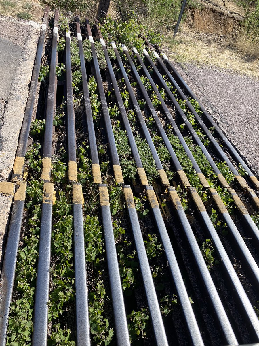 BocephusWatasha's tweet photo. I get Cattle Guarded daily by this cattle guard! AKA this is where the signal ends and the rural begins…. My daily Twitter Spaces rug! #SignalLess #DegensWorseNightmare #CattleGuard #CattleGuarded https://t.co/BSP1wkuU10