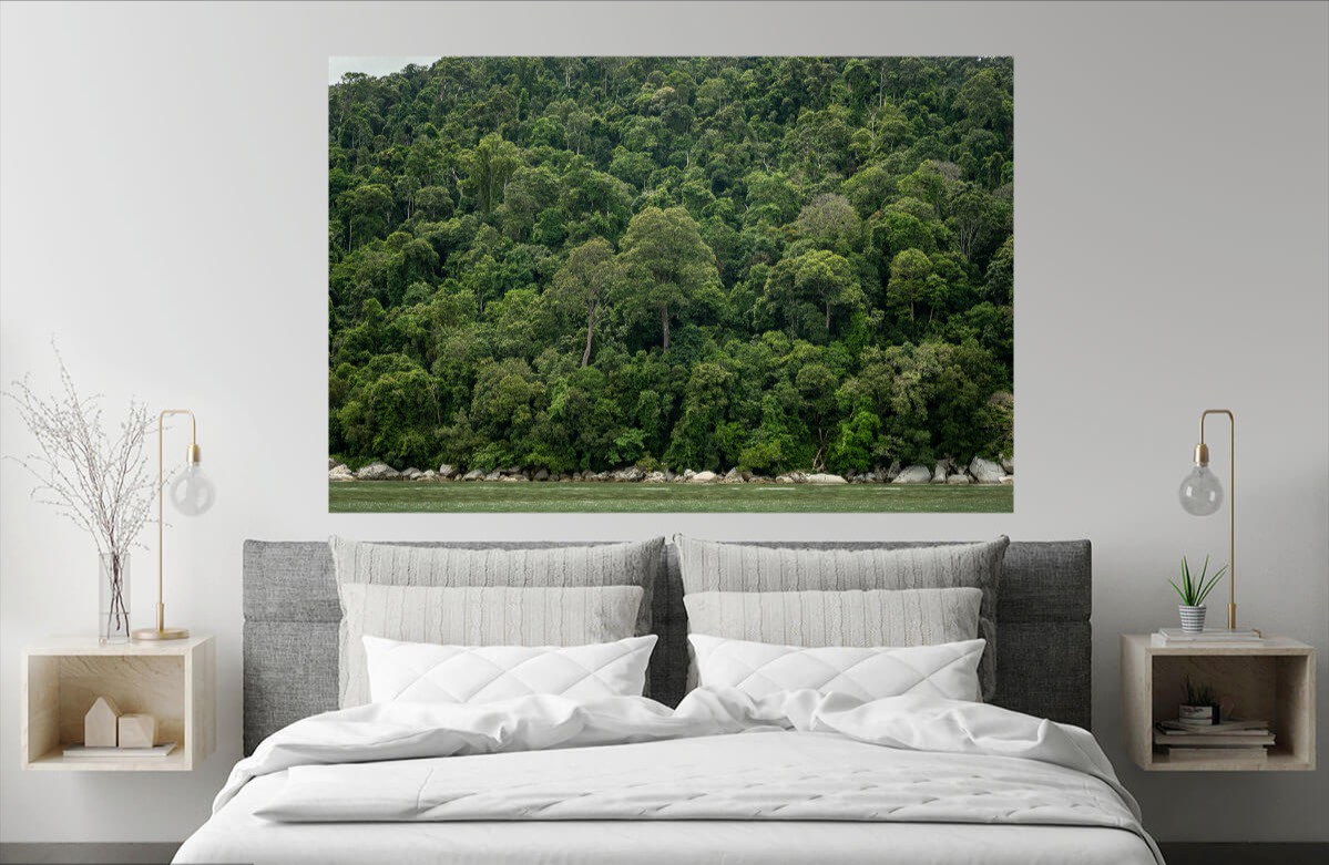 davidstloh's tweet photo. Transforming your space with our collection of glorious nature series of trees, forest images etc. We will curate a selection of stunning, high resolution images for you - and then handle printing and expert installation. 

#davidstlohimages
#davidlohgallery
#wallartdecor https://t.co/qMJM6dfsyn