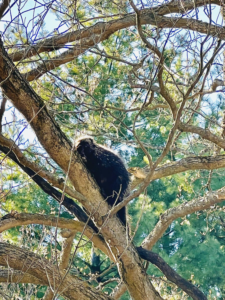 connerfritz's tweet photo. Been living here for over a year and only just met one of the neighbours! https://t.co/85oJ5K6zbw