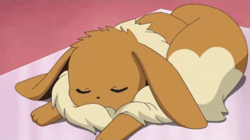 Eevee is sleeping 💤