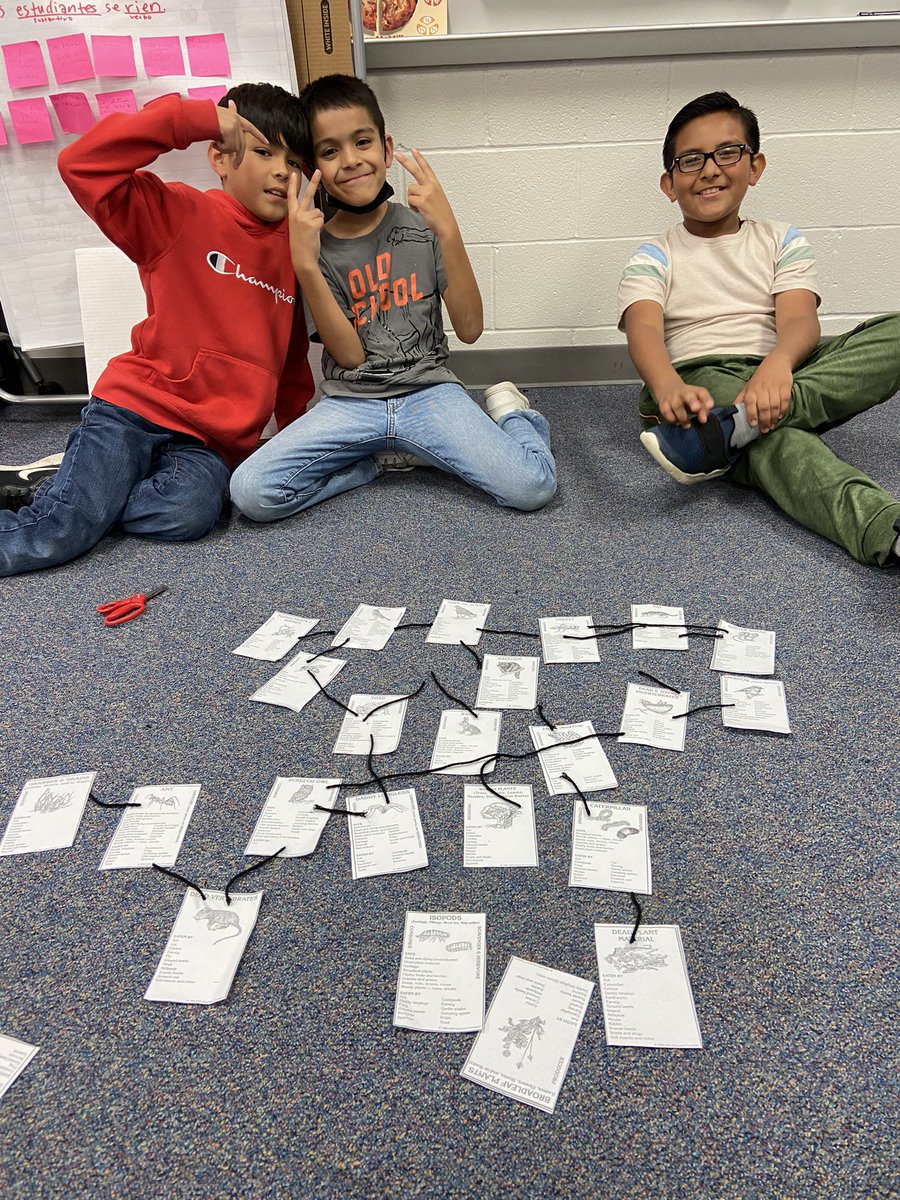 carreoncubs's tweet photo. Food webs. They were so proud of their work. @mullican_rachel @webbcubs #latetweet https://t.co/BRyTk9N3KS