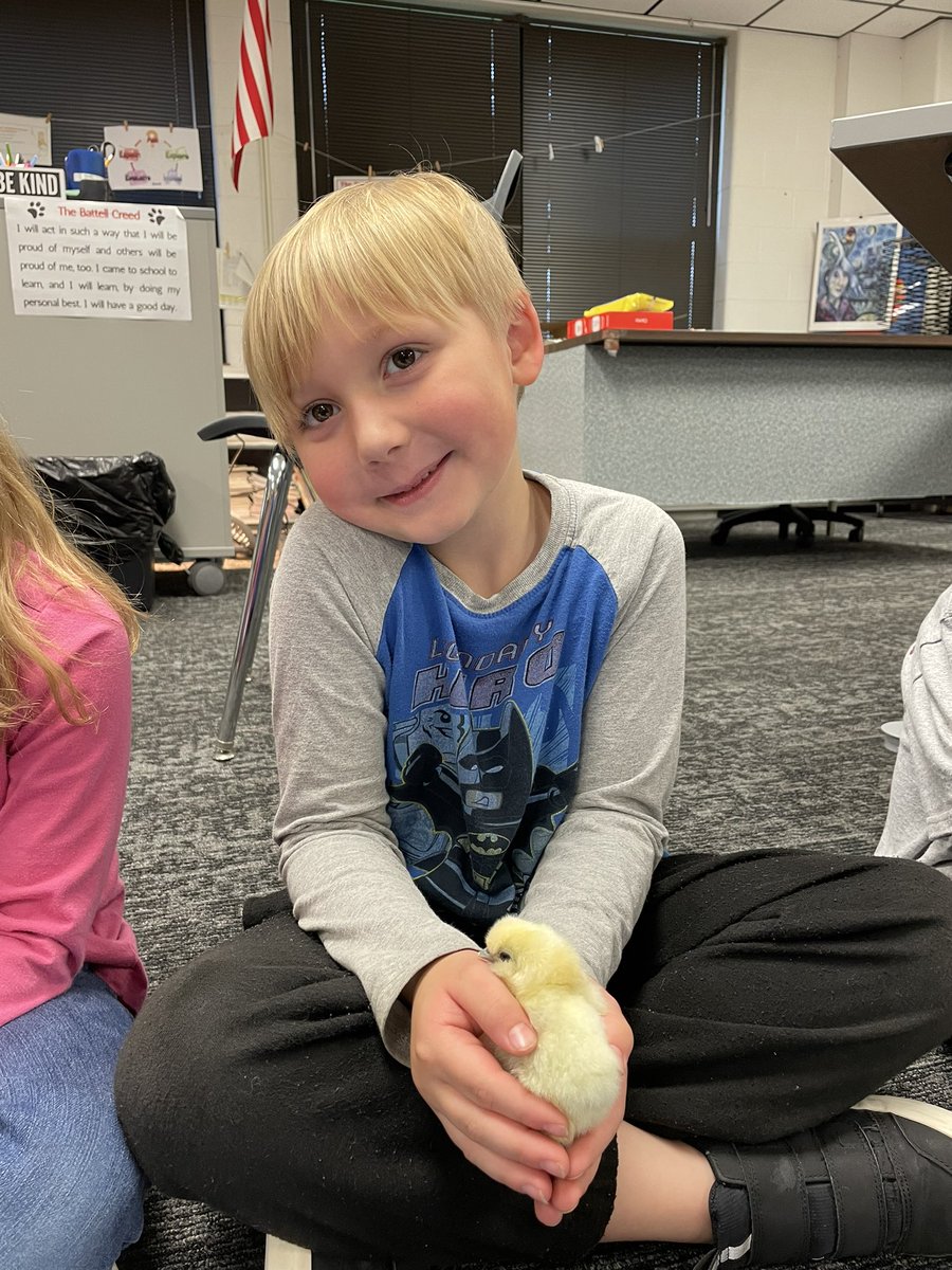 sparrow1239's tweet photo. These kindergarteners were were so egg-cited to meet our chicks today at Battell School. They are chicken smart and can give you life cycle facts! #MishawakaWay #PAEMST #scmstem https://t.co/ZkSeWi6DZk