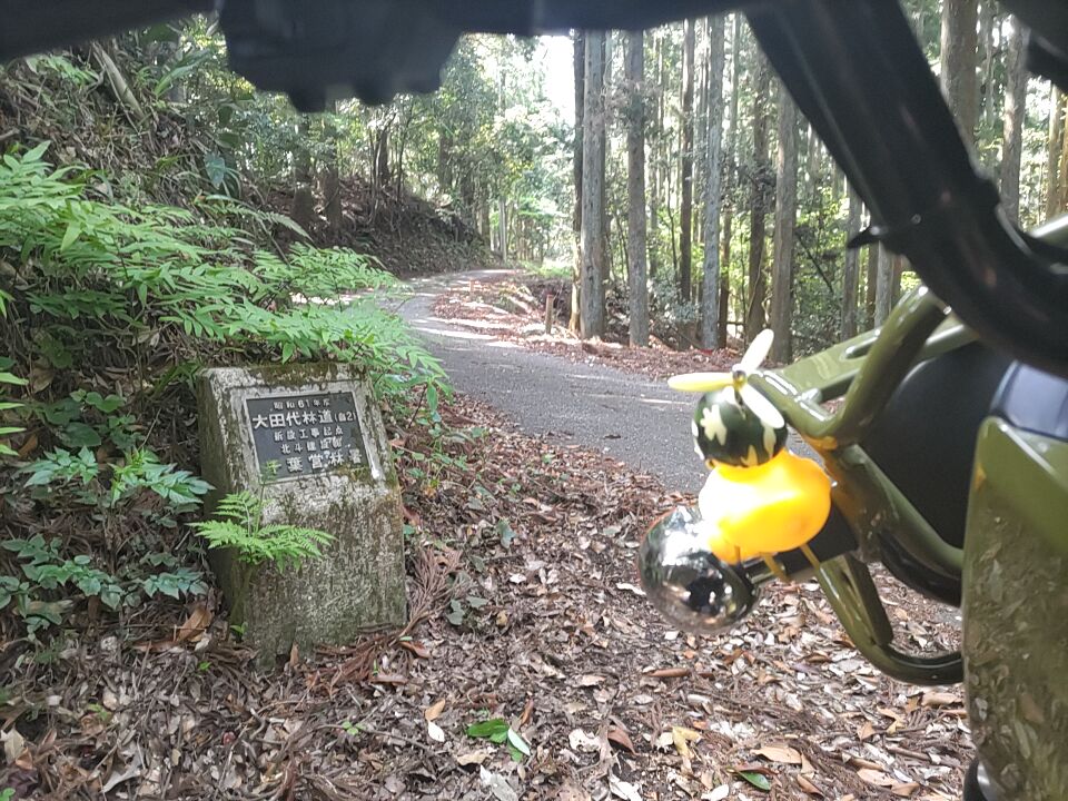 ツーリング道中の獣道に誰かいる 足らしきものが見えている 呼びかけても返事はない どうすればいいんだ 正体は Togetter