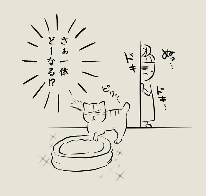 飼い主に課せられた重大な使命「新しいベッドは気に入ってくれるのか!?」【連載】交通事故にあった猫を拾いました#63|ねこのきもちWEB MAGAZINE https://t.co/SwqY8jiotm