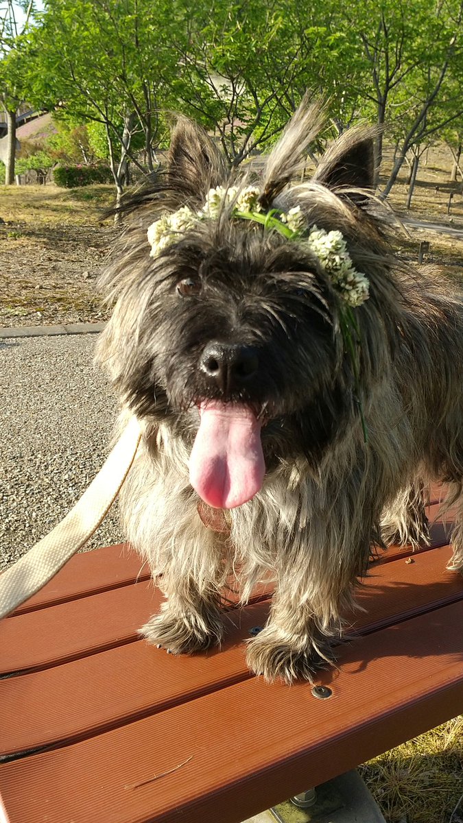 まるのん🐾 tweet media