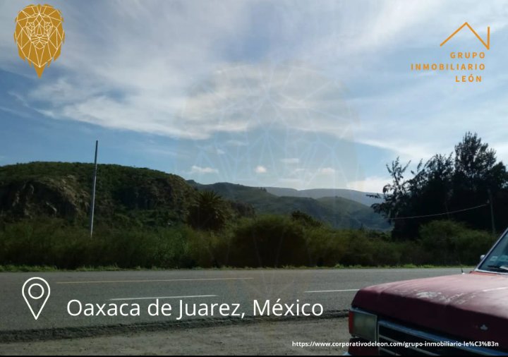 l_mgroup's tweet photo. #Aseguratupatrimonio 
¿Si eres de las personas que admiran la #gastronomiamexicana y ama la #Guelaguetza2022.? ¿Que esperas para comprar un lote en #Oaxaca?

#GrupoInmobiliarioLeon #CorporativoJuridicoyEmpresarialdeLeonyP #OaxacadeJuárez #LotesenventaOaxaca https://t.co/4XeeaMW4fy