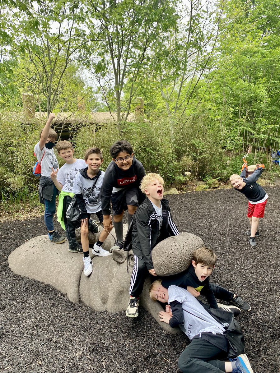 Tiffany Dusina tweet media