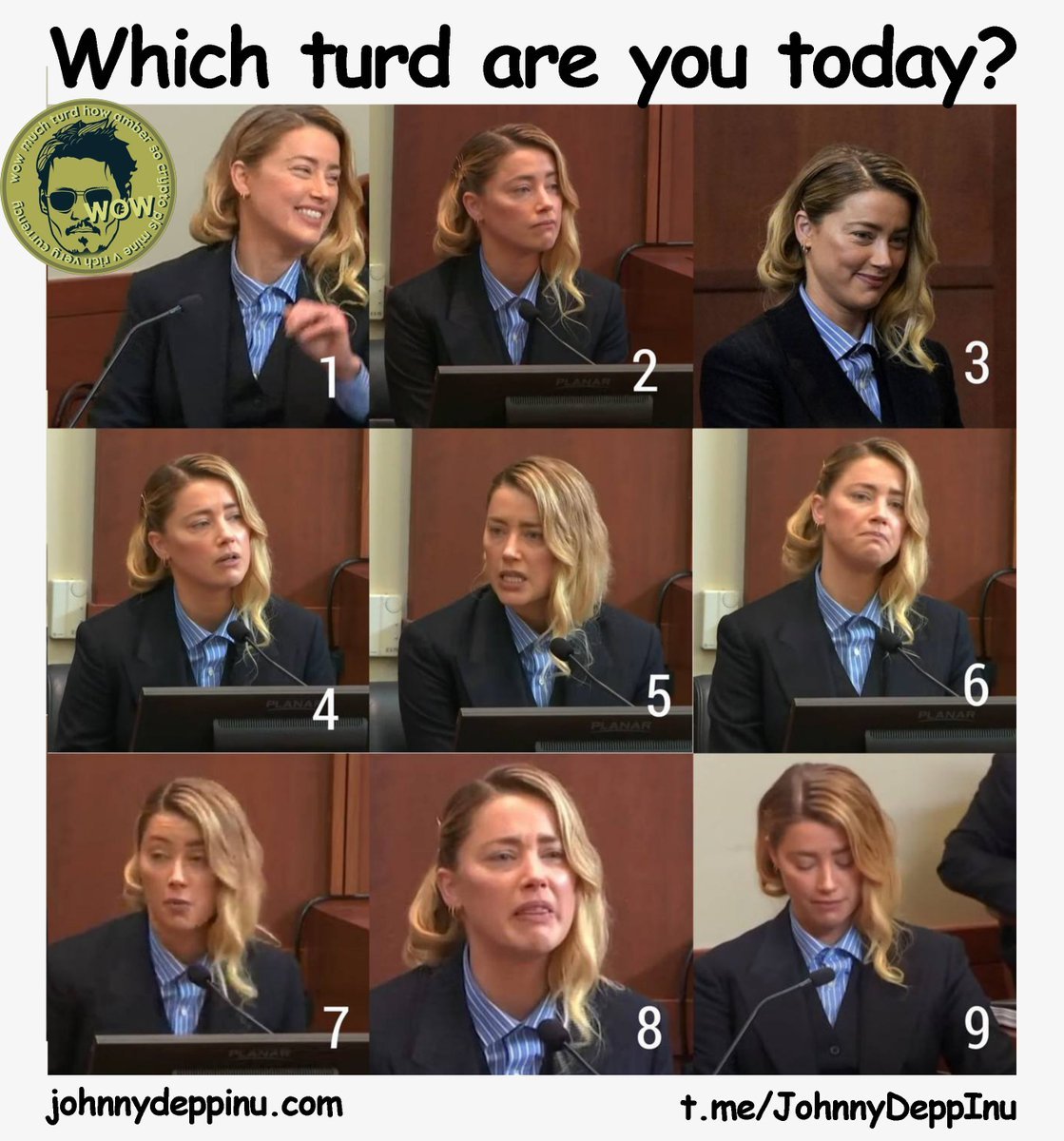 JohnnyDeppInu's tweet photo. Amber is on the stand.... but few are convinced. How is this woman an actor? #AmberHeardIsALiar   #JusticeForJohnnyDepp  #amberturd https://t.co/ZBm0Uxjogx