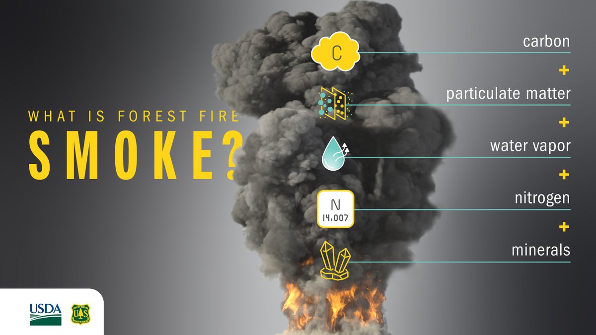 Do you know what compounds are found in smoke from forest fires? #AirQualityAwarenessWeek