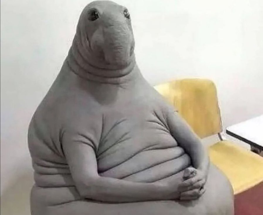 Wie ich auf das 9 Euro Ticket nach Sylt warten tue