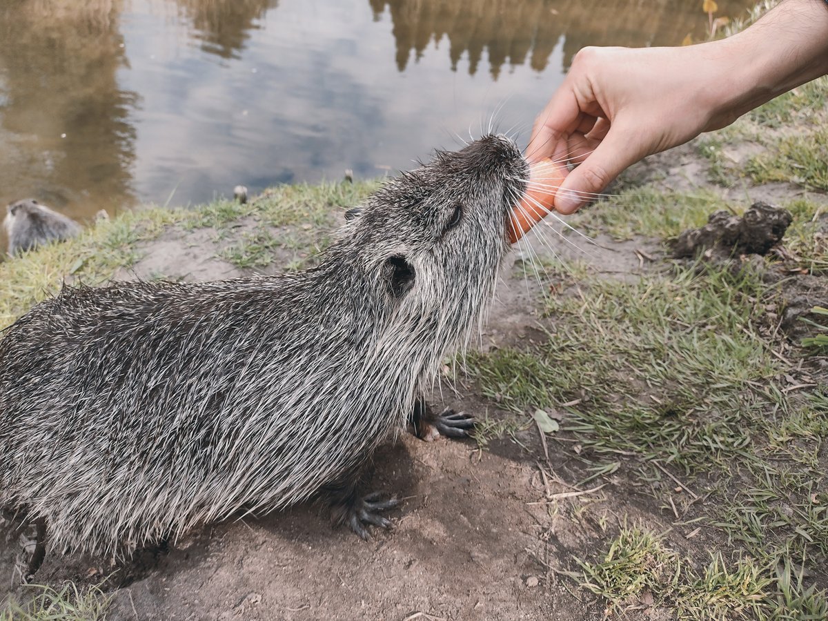 Alicja Musiał tweet media