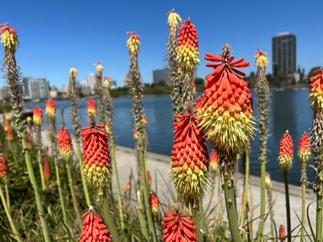 Taking a quick break from my existential rage to enjoy springtime beauty