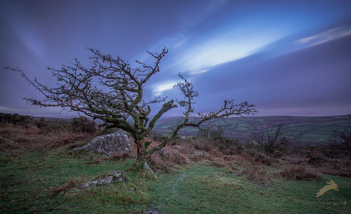 Bonehill rocks - I cant tell which was more dramatic - the tree or the sky (in truth its probably both!) #Dartmoor @dartmoornpa @dartmoormag @AroundAshburton @VisitDartmoor @VisitDevon @UKBaskervilles