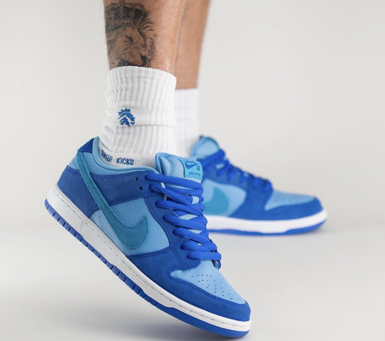 Nike sb fr 2025