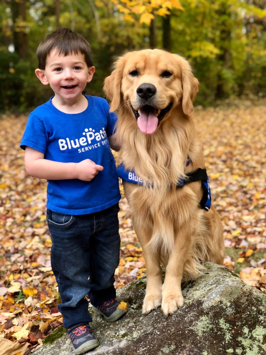 commbasedserv's tweet photo. On Saturday, May 14th, BluePath will host its Sixth Annual Walkathon at FDR State Park in Yorktown Heights. ๐ This event is happening to raise funds to support BluePath's mission. To learn more about the event, please check out Blue Path Service Dogs!
#CommunityBasedServices https://t.co/RvVe7CSdbU