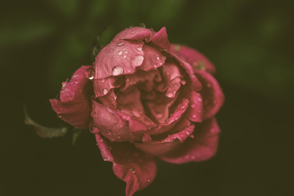 I take cool pics tweet media