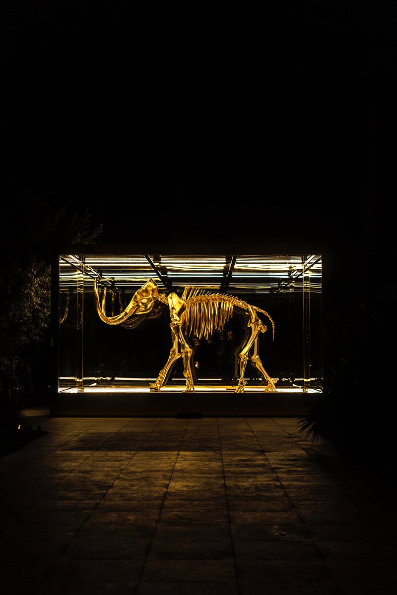 SciEntExchange's tweet photo. Starting now! Join us for Back from the Dead: The Difficulties and Dilemmas of De-Extinction with bioethicist @HankGreelyLSJU, evolutionary biologist Beth Shapiro @bonesandbugs, and screenwriter @emilycarmichael. #SciEntEvent
https://t.co/ZuIaedPR4z
Password: 915422 https://t.co/ChcSbUaNMv
