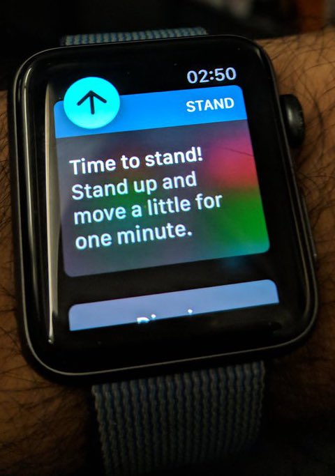 Cactus Papi tweet media