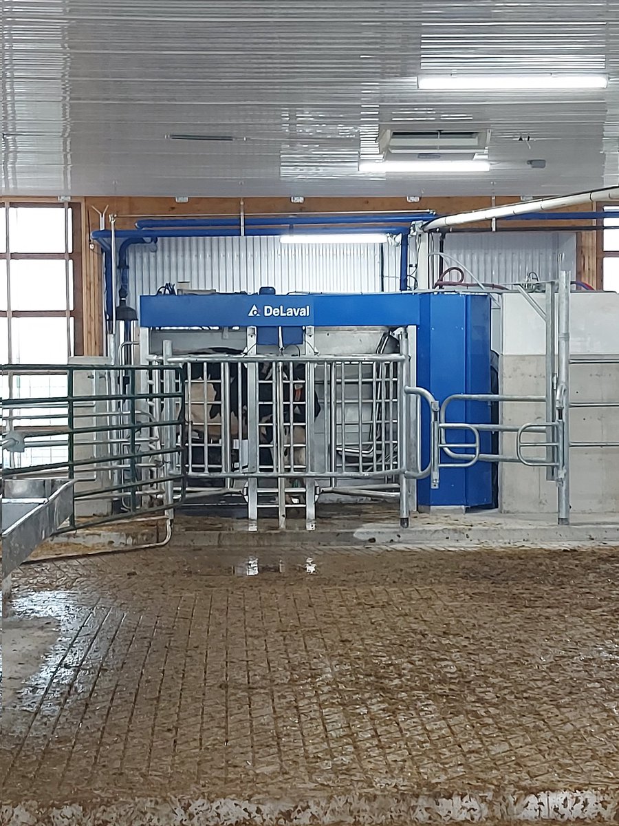 NorwellDairy's tweet photo. Some pictures from the startup at Nieuwcrest Dairy Inc yesterday! Congratulations and thank you for choosing Norwell!! #DairyDoneWell #agriculture #farming @DeLavalCanada 

📷 @KateDorr https://t.co/9WvBKRHSfZ