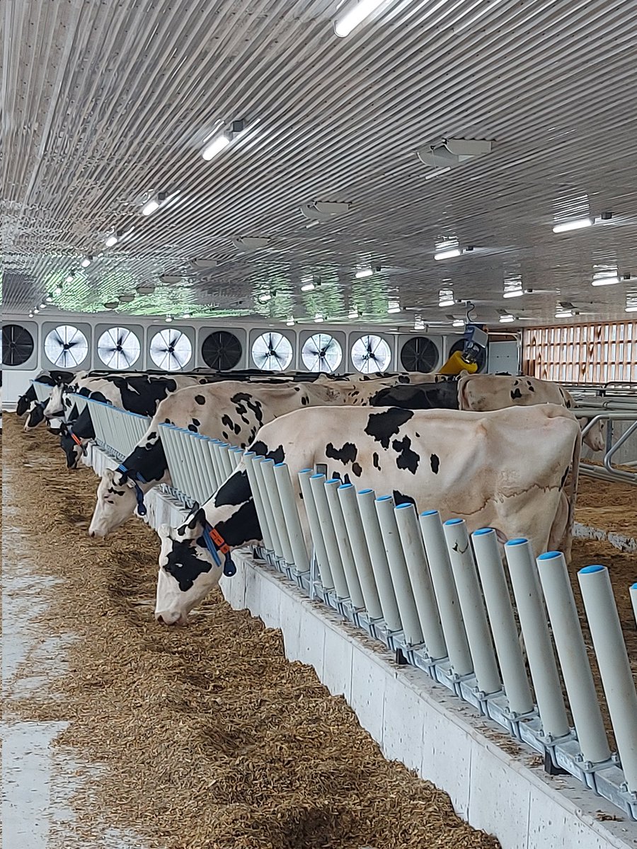 Some pictures from the startup at Nieuwcrest Dairy Inc yesterday! Congratulations and thank you for choosing Norwell!! #DairyDoneWell #agriculture #farming <a href="/DeLavalCanada/">DeLaval Canada</a> 

📷 <a href="/KateDorr/">Kate Dorr</a>