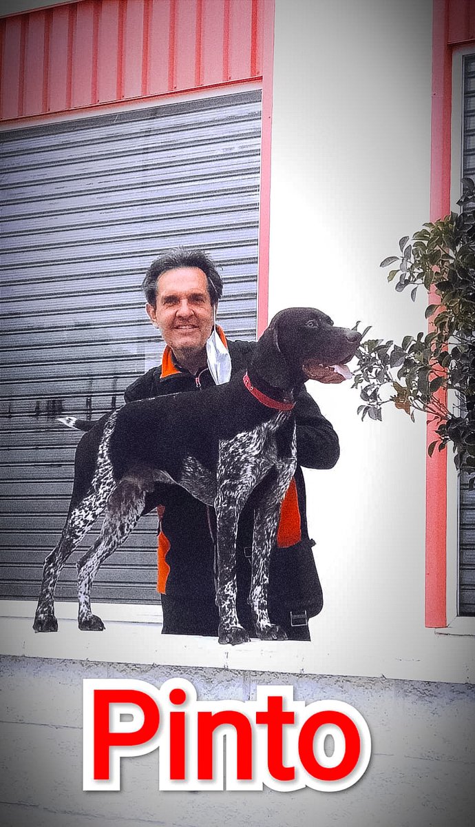 zarworito's tweet photo. Compañero en las duras y las maduras. Amigo fiel https://t.co/ta8sX93nIa