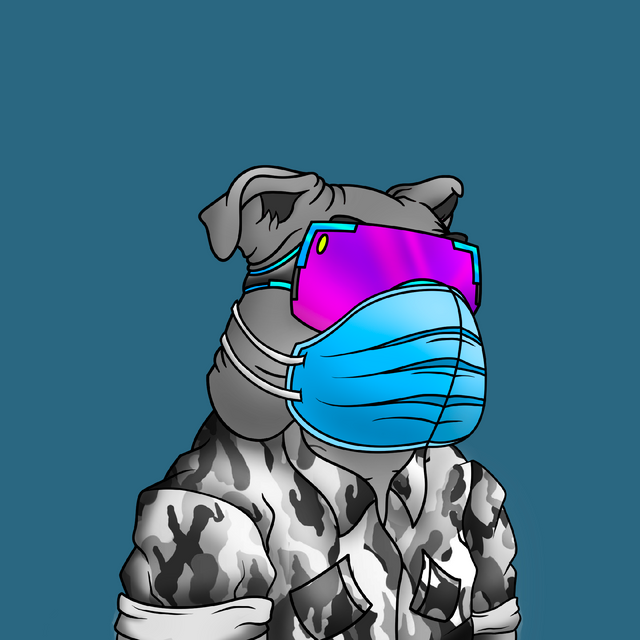 FredS0L's tweet photo. Yoo Boys me and my deadgod was getting a bit lonely, so time to team up with this bad a$$ BulldoG from @bbsolana LFG boys💪🏼🔥🐶CYA on the moon @elonmusk https://t.co/ylk2mBabgv