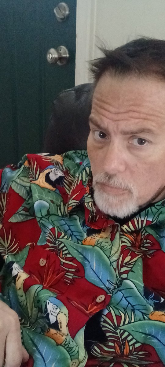 PeteRuggieri's tweet photo. I've got the Dobermans and The Hawaiian shirt, but my legs aren't ready for those Thomas Magnum nut-hugger shorts... yet. https://t.co/LLpdHXeNfW