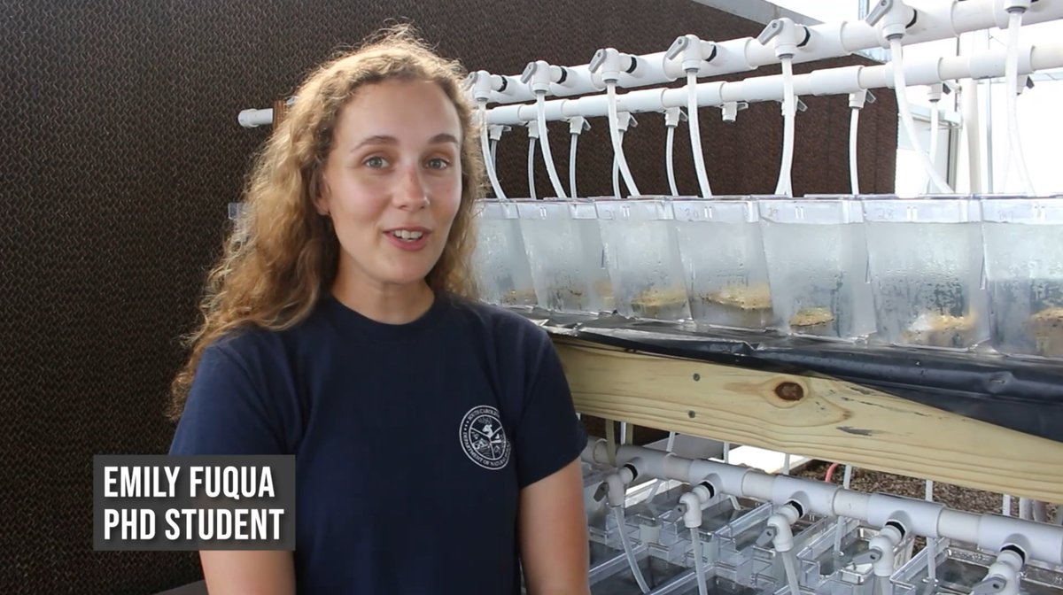 FSUMarineLab tweet picture