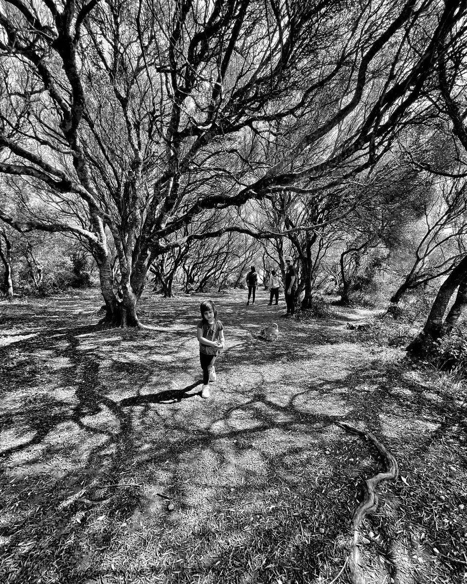 AdamKnesl's tweet photo. 🤳Before &amp; After #shotoniphone #editoniphone https://t.co/DlqtsJzwgA