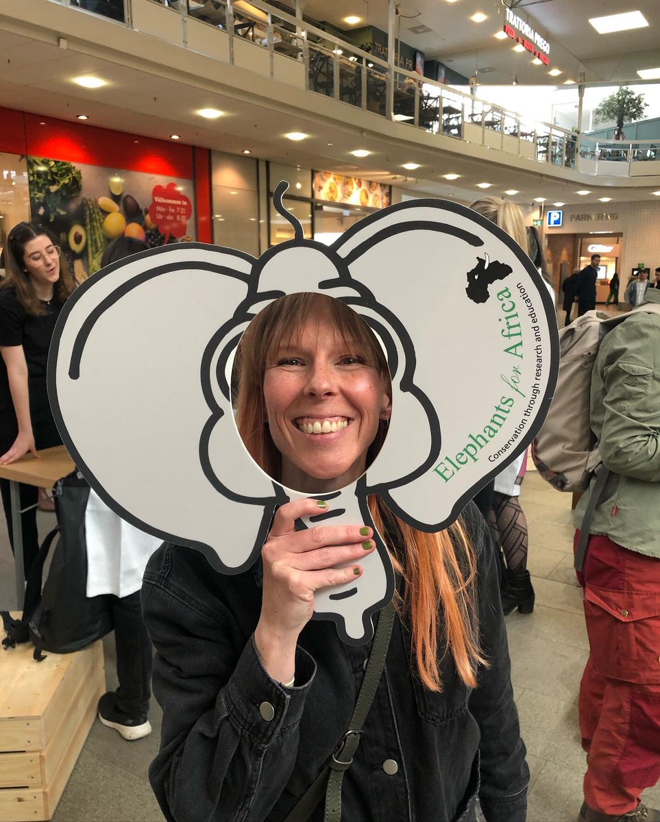Kate Evans (@elephantkate) on Twitter photo 1he of soap boxing about elephants, past in a flash. Loads of engagement & questions. Challenging format to speak to a changing audience at #GbgSoapboxSci
#vetenskapsfestivalen2022 <a href="/GbgSoapboxSci/">SoapboxScienceGBG</a> #soapboxscientist #womeninscience #stem #elephantselfie #nordstan_gbg 1he of soap boxing about elephants, past in a flash. Loads of engagement & questions. Challenging format to speak to a changing audience at #GbgSoapboxSci
#vetenskapsfestivalen2022 <a href="/GbgSoapboxSci/">SoapboxScienceGBG</a> #soapboxscientist #womeninscience #stem #elephantselfie #nordstan_gbg
