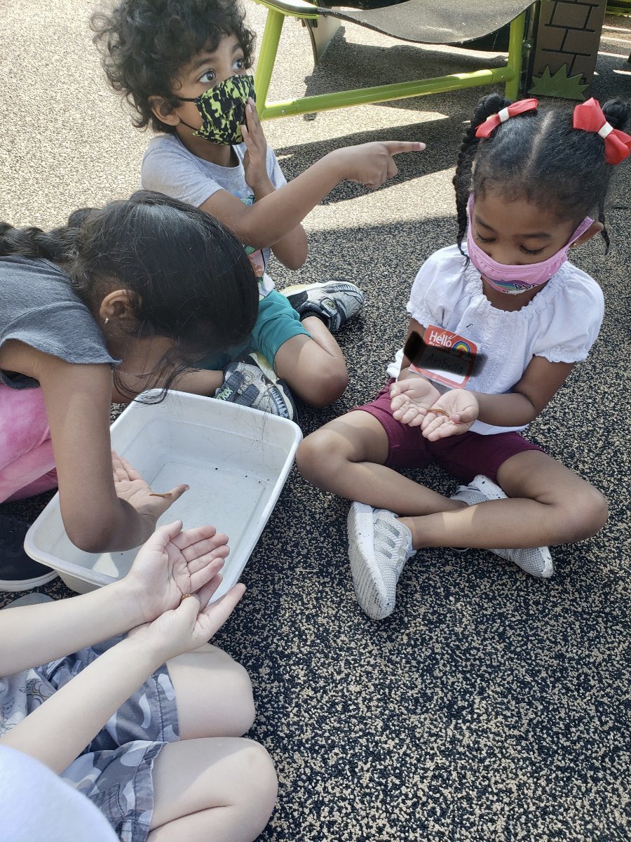 TracySlavis's tweet photo. Had such an amazing morning with Miss Elizabeth from Raleigh Parks and Recreation learning about Metamorphosis in animals and insects. #TurnerCreekES https://t.co/uKkbNSTmQ2