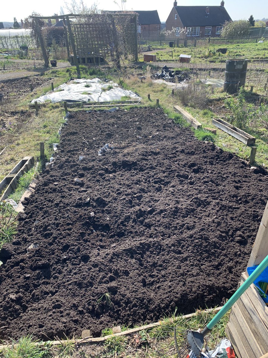 tompedals's tweet photo. @philsturgeon Nice! We have a few plots at a community garden and did the same with no-dig. It worked really well to suppress the weeds and let us get growing quickly. People who dug over their plots soon had tons of weeds where as ours was manageable. Did the same with a new plot this year. https://t.co/obXJEWhl97