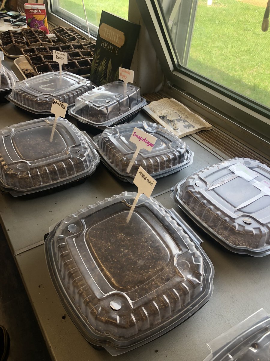 BLoganDDE's tweet photo. Productive seed planting at the Garden Club with recycled materials in honor of Earth Day! Can’t wait to see the flowers in bloom 🌸🌼🌻 https://t.co/bTE1co1Ivg
