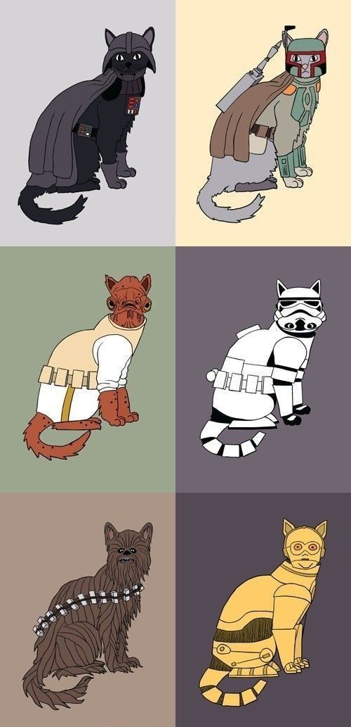 ile0719's tweet photo. #MayThe4thBeWithYou 😻 https://t.co/OM8Zc5Lx7w