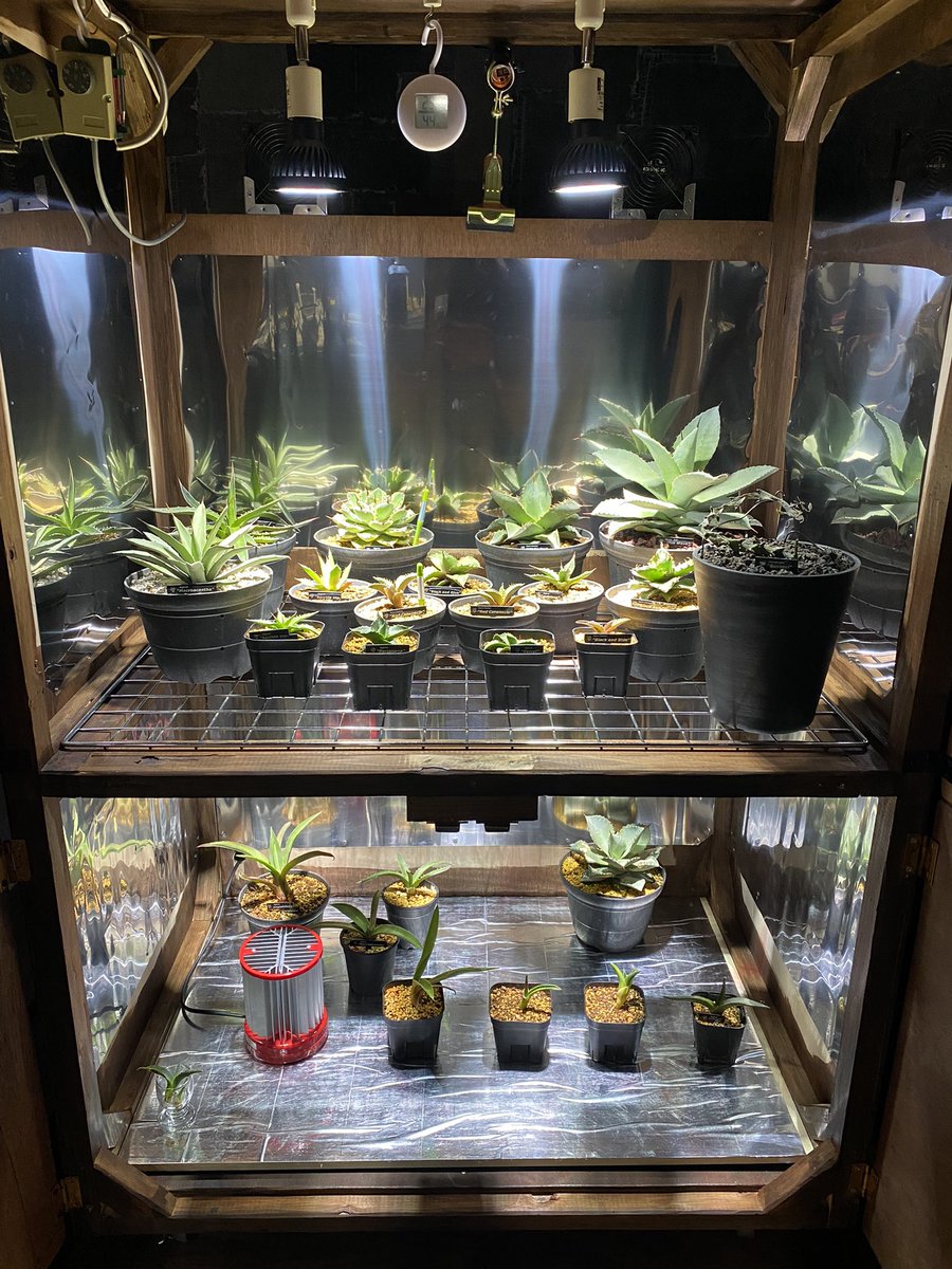 gpro1234's tweet photo. DIYで製作した、"植物育成BOX"
でした🪴 https://t.co/8aEk9Tm4au